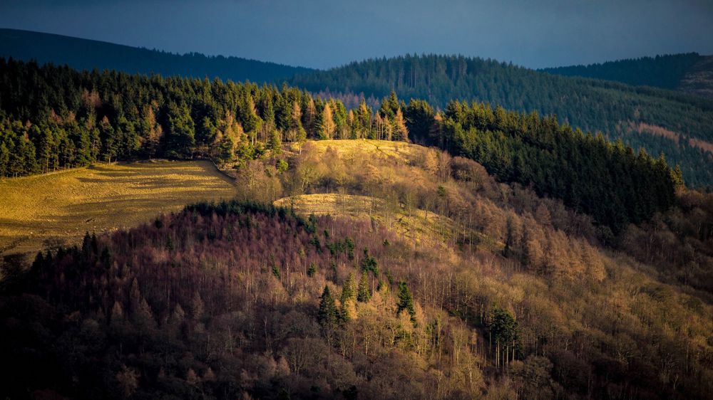 Janet's Brae Janet's Brae