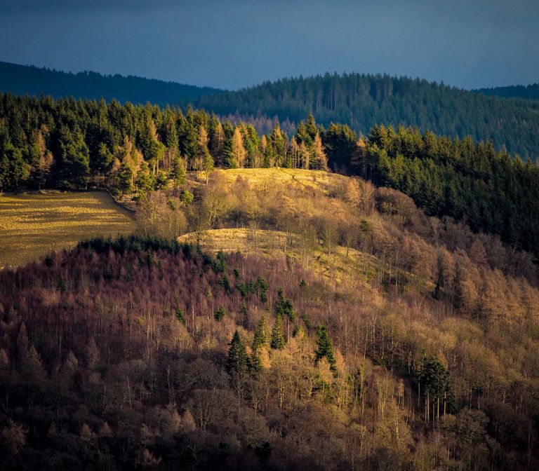 Janet's Brae Janet's Brae