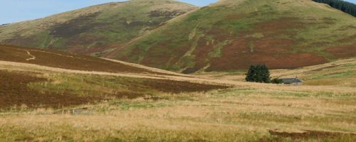 John Buchan Way John Buchan Way