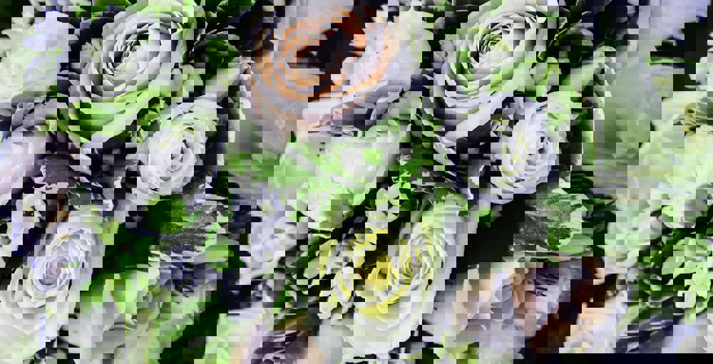 Exclusive Use Wedding Package Exclusive Use Wedding Package