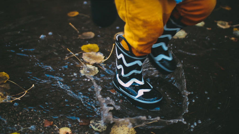 Peebles Walks Peebles Walks